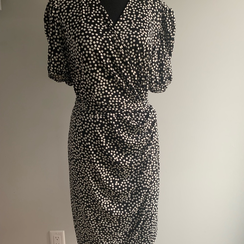 Lark & Ro wrap dress. Never worn, in excellent condition.
